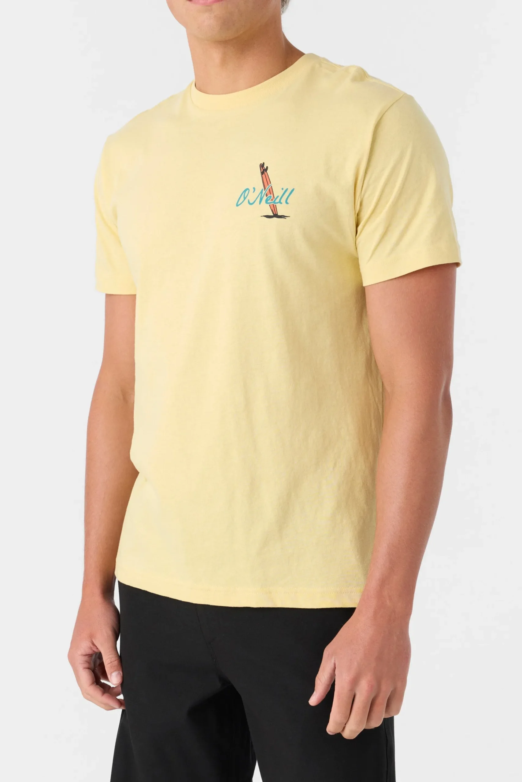 O’Neill Tees<ALWAYS SUMMER STANDARD FIT TEE