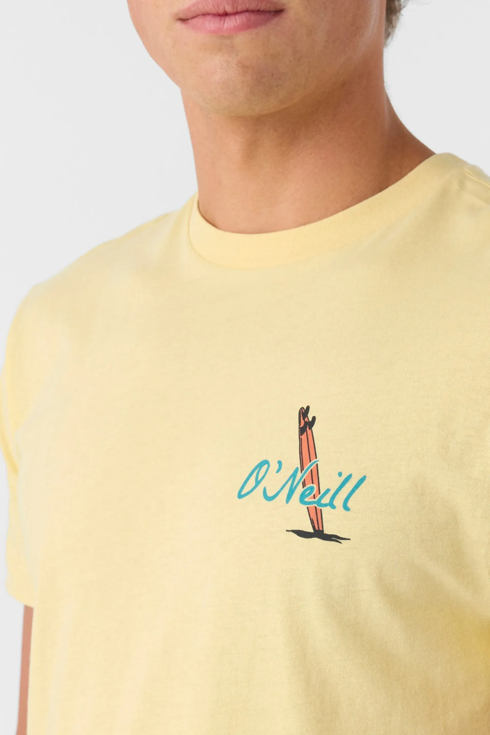 O’Neill Tees<ALWAYS SUMMER STANDARD FIT TEE