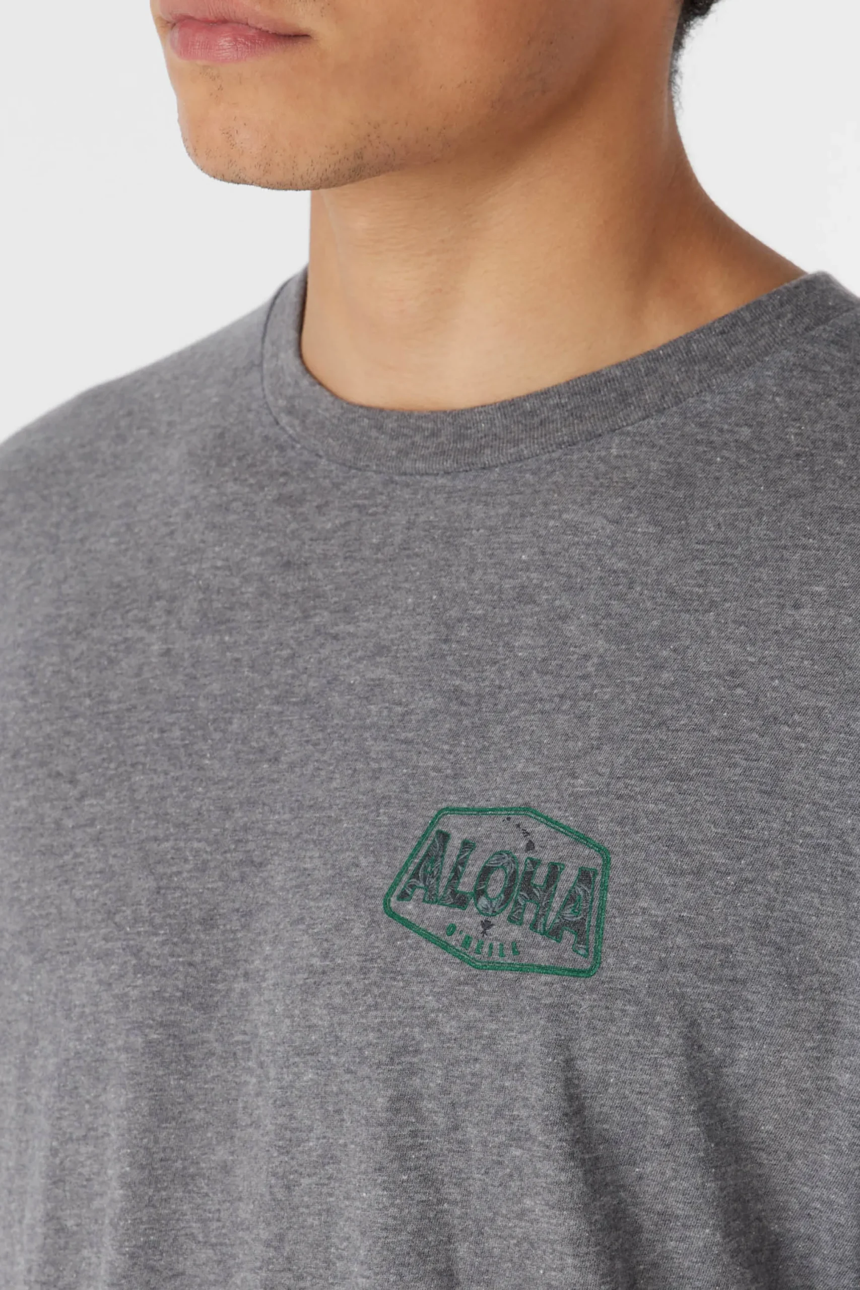 O’Neill Tees<BIG ALOHA TEE