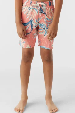 Kids/BOY O’Neill Boardshorts<BOY'S HERMOSA CREW 16" SWIM TRUNKS