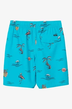 Kids/BOY O’Neill Boardshorts<BOY'S HERMOSA CREW 16" SWIM TRUNKS
