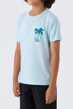 Kids/BOY O’Neill Tops<BOY'S TUBE TEE