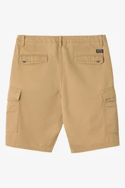 O’Neill Shorts<CAMPBELL 21" CARGO SHORTS