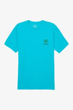 O’Neill Tees<DREAMING TEE