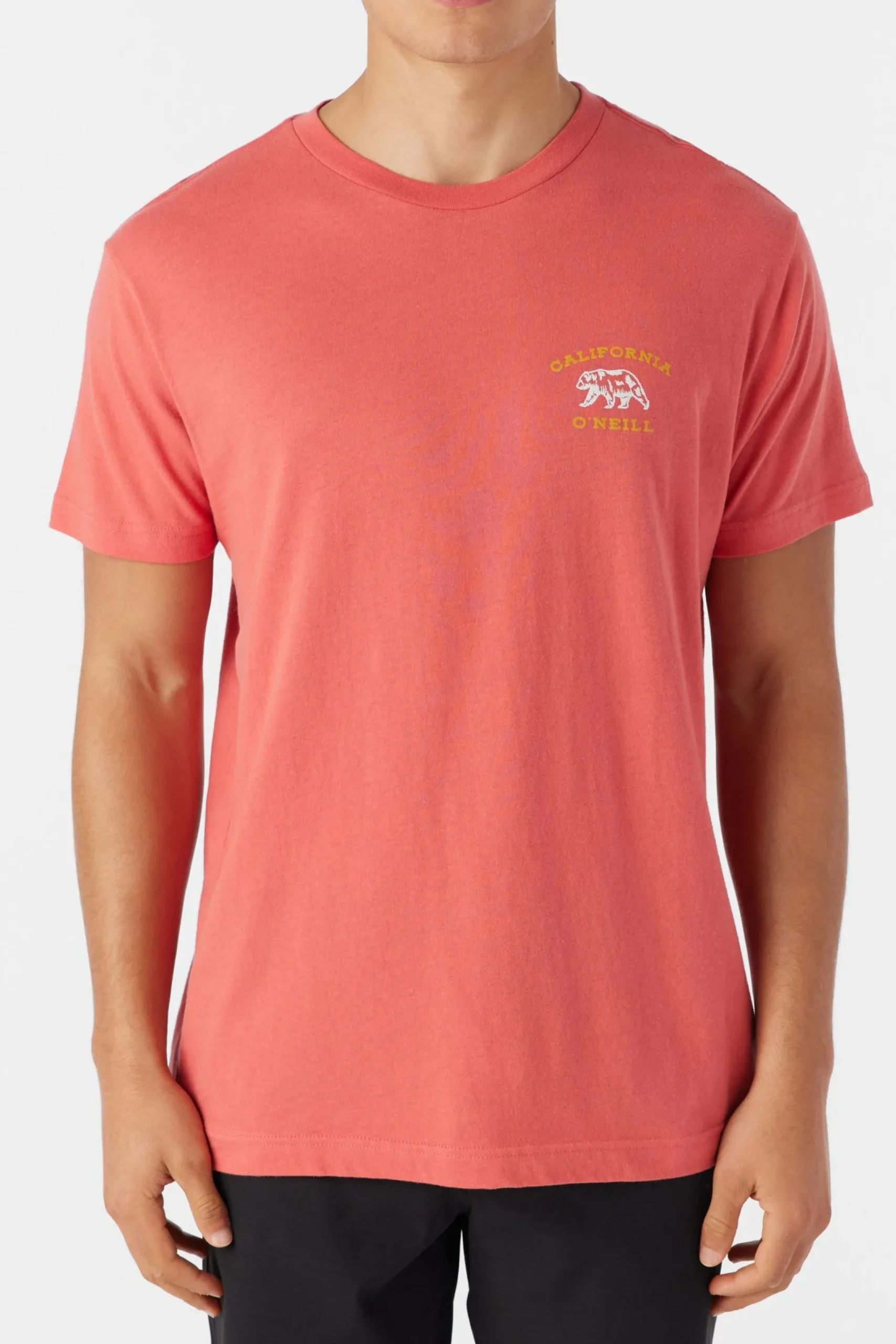 O’Neill Tees<FREE ROAMER TEE