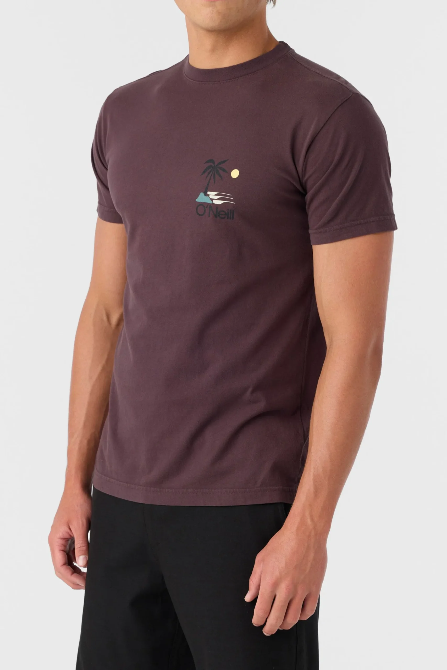 O’Neill Tees<O'RIGINALS PALM ISLAND MODERN FIT TEE