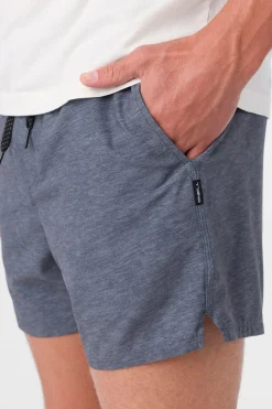 O’Neill Shorts<PERFORM LINED 15" ATHLETIC SHORTS