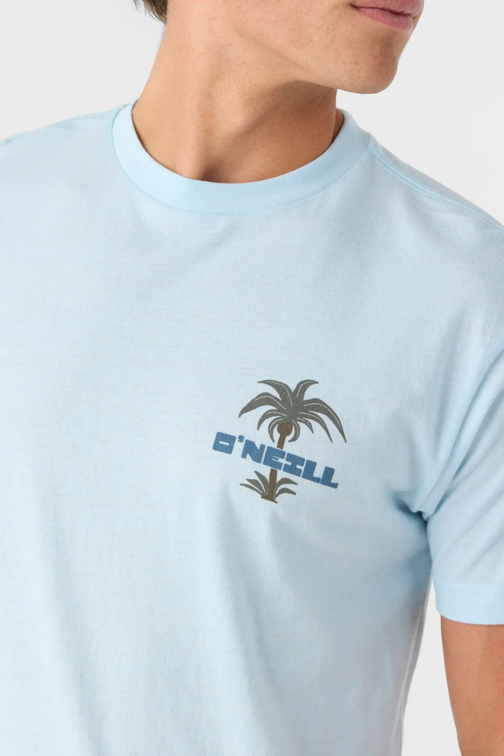 O’Neill Tees<STRAINDS STANDARD FIT TEE