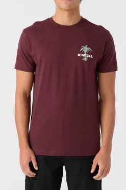O’Neill Tees<STRAINDS STANDARD FIT TEE