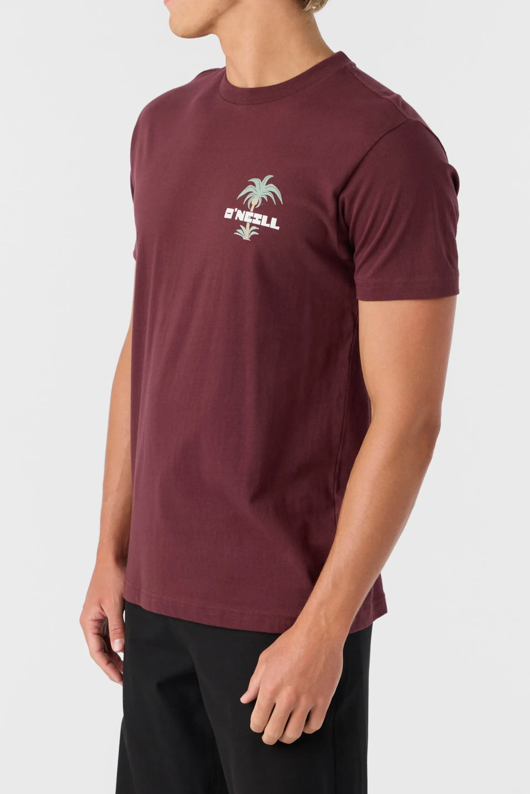 O’Neill Tees<STRAINDS STANDARD FIT TEE