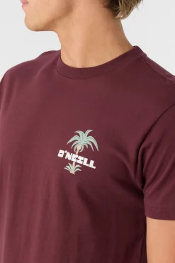 O’Neill Tees<STRAINDS STANDARD FIT TEE